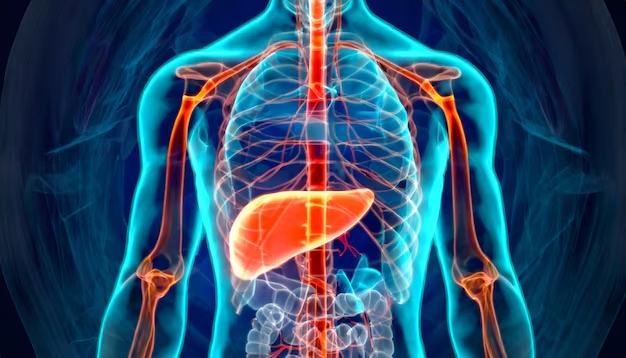 Gallbladder Function Tests